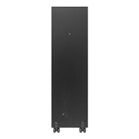 Haut-parleur de karaoké Bluetooth avec micro sans fil, grandes enceintes pour fêtes DJ en extérieur, haut-parleur de karaoké avec micro DR1021
