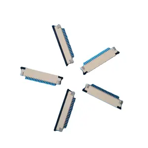 Pitch Horizontal Mounting SMD Fpc Connector PCB Application 1.0mm Natural Female Male/female 2 Pin Computer Micro Plugs 500 Pcs