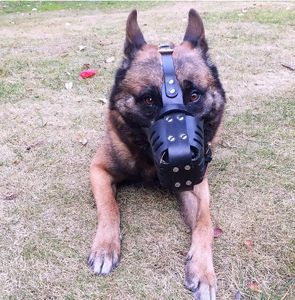 Büyük ırklar için Premium deri köpek namlu | Anti-Bite & Barking kontrol ayarlanabilir maske | Çalışma eğitim dişli toptan - Product Image 2