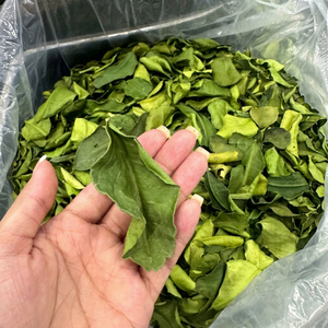 99 Gold Data <b>Dried</b> Lemon/<b>Lime</b> 12% Max Moisture 1-2 Year Shelf Life Dry Storage at Best Price From Vietnam Factory - Product Image 1