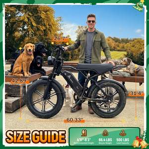 Vélo électrique 1000W 48v 15ah 25ah 25km/h, vélo cargo à pneus larges de 20 pouces, cadre de vélo électrique en acier, entrepôt européen, fatbike pour adultes - Product Image 3