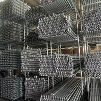 Sistema de Andamios Ringlock con Certificación CE Xinxing, Acero Q355 Galvanizado en Caliente, para Obras de Construcción