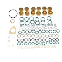 Kit de Reparación de Piezas de Bomba de Inyección Diesel 2417010023  2 417 010 023