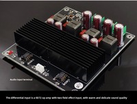 Carte amplificateur HiFi SAMP-200 Dual Core 2 canaux 600W + 600W Conception d'économie d'énergie avec des performances de 600W + 600W