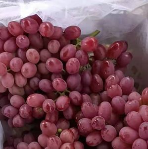 องุ่นจีนองุ่นสดฤดูกาลใหม่ราคาองุ่น - Product Image 3