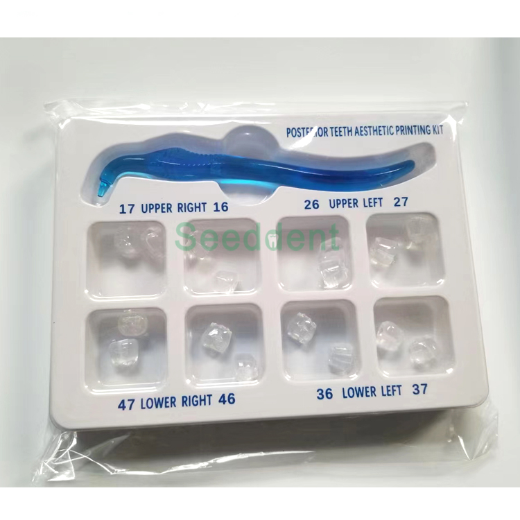 Dental Posterior Teeth Aesthetic Printing Kit Tooth Restoration Filling Oral Therapy Tools
