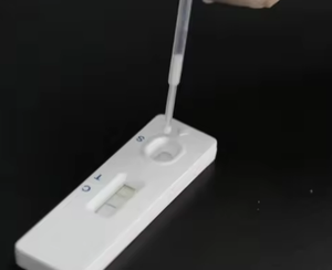 Bán buôn 10t/Kit dễ dàng hoạt động mèo herpesvirus (FHV-1) kháng thể nhanh chóng Kit kiểm tra (fhvab) cho mèo miễn dịch tiêm chủng thử nghiệm - Product Image 4