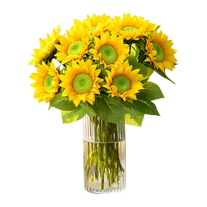 Nuovi Girasoli Freschi a Testa Grande, Colore Uniforme, Raccolti Direttamente dalla Fonte, per Donne - Product Image 6