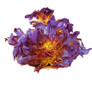 Thé minceur aux fleurs de lotus bleues séchées de qualité supérieure biologique en emballage en bouteille en vrac - Product Image 1