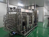 Ligne de production de jus de fruits commerciaux de haute qualité : gingembre, mangue, citron, ananas – Machine d'extraction de jus pressé à froid