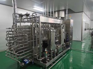 Línea de Producción de Máquinas Extractoras de Jugo Prensado en Frío de Alta Calidad para Jugos de Frutas Comerciales, Jengibre, Mango, Limón y Piña - Product Image 5