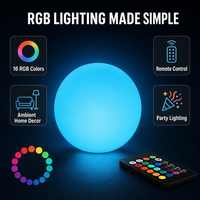 Lampe sphérique LED CoolQIing PE avec télécommande, rechargeable, lumière d'ambiance, lampe de chevet pour chambre à coucher