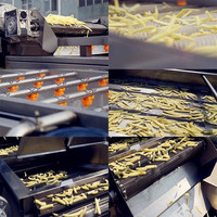 Ligne de production automatique haute performance pour les frites et les chips de pommes de terre