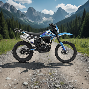 Moto tout-terrain GX-CQR-PR300 GAS pour adultes, 21HP, <span class=keywords><strong>4</strong></span> <span class=keywords><strong>temps</strong></span>, 300cc, monocylindre, démarrage électrique, refroidissement par air à 2 pistons, NIBBI PE30 - Product Image 3