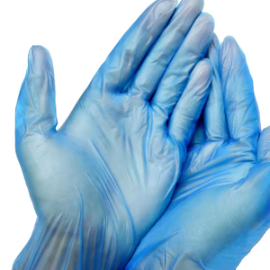 Cost Effective Food Service Disposable Vinyl Gloves 24CM Silicone-Free <b>Powder</b>-Free Non Sterile Clear Smooth <b>Texture</b> Customizable - Product Image 1