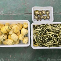 Volledig Automatische Hoge Productiviteit Fruit Ananas Continue Schilmachine 304 RVS CE Gecertificeerd 220V/380V 1 Jaar Garantie