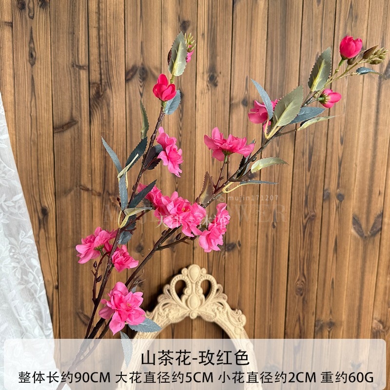 คาเมลเลีย