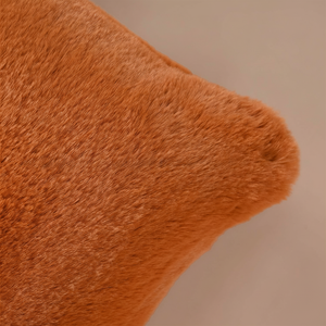 Luxury Fluffy Pillow Cases Soft Warm Faux Fur Pillow Cover Throw Pillows Home Decor Faux Rabbit Fur Modern Cushions Cover - Product Image 1