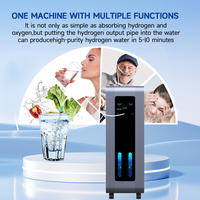 Générateur d'hydrogène professionnel 3000 ml/min, inhalateur d'hydrogène portable en acier inoxydable, machine d'inhalation d'hydrogène PEM SPE