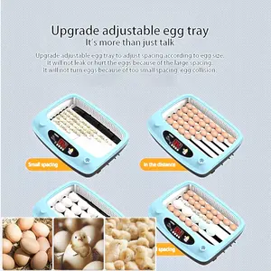 low power consumption chicken egg incubator, quail egg incubator/72 eggs incubator (Lydia WhatsApp:+8615965977837)