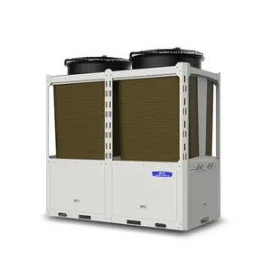 Nieuwe Ontwerp R410a Koeling 300ton Adiabatische Industriële Warmtepomp Luchtgekoelde Modulaire Water Chiller