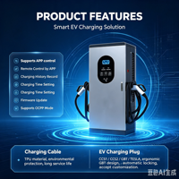 Station de recharge rapide portable pour véhicules électriques (VE) de 60 kW à 360 kW, personnalisée par le fabricant (35 ans d'expérience), CCS1 CCS2 IP55, commerciale, OEM ODM, directement de l'usine