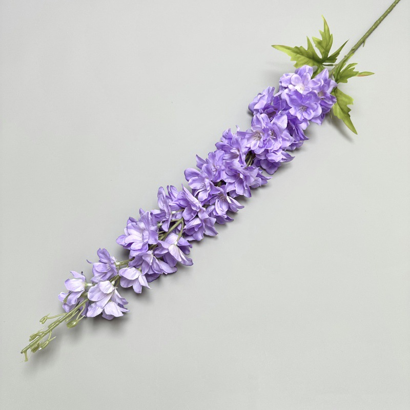 Hirondelle haute violette