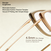 M6216 Desain Cat-eye Vintage dan Bergaya dengan Tampilan Alami, Bingkai Kacamata dengan Keahlian Kerajinan Lem Emas yang Halus