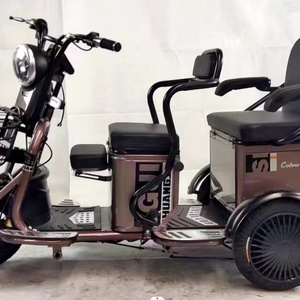 Tricycle électrique pour adultes à trois roues, moteur 48V500W, tricycle électrique - Product Image 5