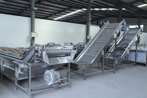 Agua <span class=keywords><strong>de</strong></span> refrigeración 500 kg/h Ensalada Vegetales y frutas Limpieza <span class=keywords><strong>de</strong></span> burbujas <span class=keywords><strong>de</strong></span> aire Lavadora para granja y huerto Máquina <span class=keywords><strong>de</strong></span> secado - Product Image 3