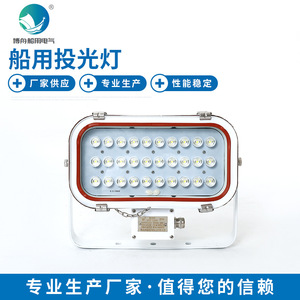 Projecteur LED Bozhou Marine Lighting 30W TG20, expédition directe d'usine, projecteur - Product Image 5
