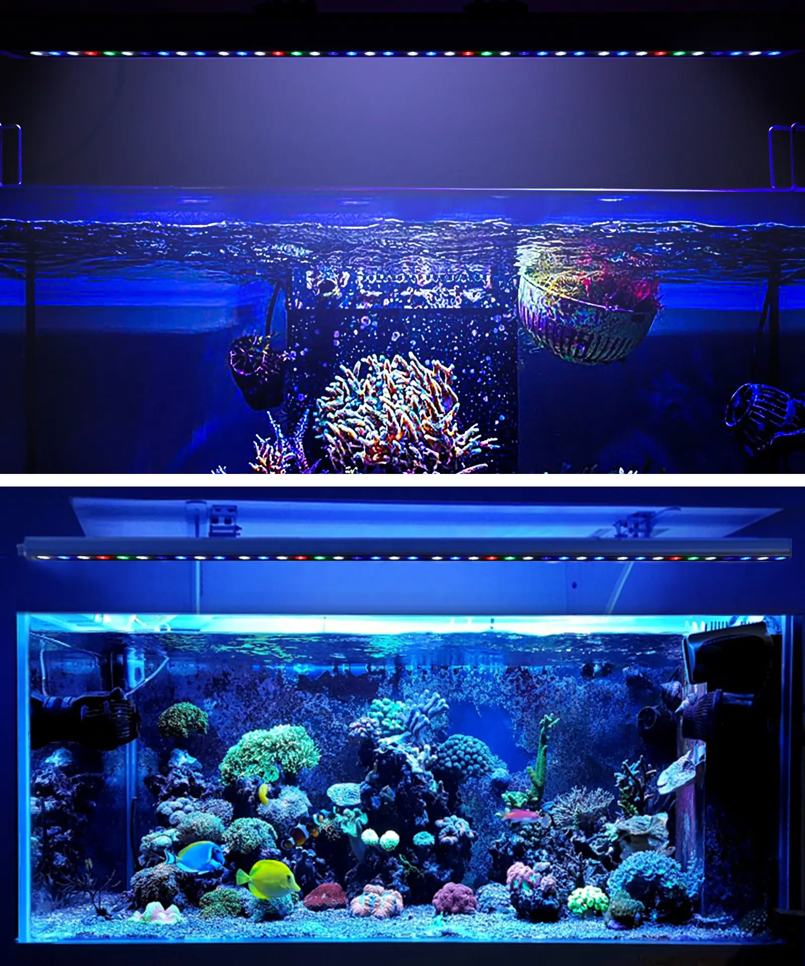Lumière LED pour <span class=keywords><strong>Aquarium</strong></span> 30W 600x45x50mm, étanche IP65, éclairage à spectre complet pour réservoir de poisson