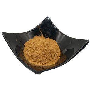 하이 퀄리티 세인트 존스 워트 추출물 분말 Hypericum 천공 추출물 - Product Image 3