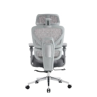 Chaise de bureau ergonomique au design moderne avec dossier en maille, soutien lombaire et fonctions réglables