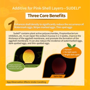 0.2% <span class=keywords><strong>phytase</strong></span> <span class=keywords><strong>Enzyme</strong></span> premix lớp tăng cường phốt pho sử dụng phụ gia cho thức ăn gia cầm thức ăn lớp <span class=keywords><strong>Enzyme</strong></span> thúc đẩy dinh dưỡng - Product Image 4