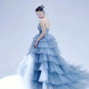 Blue Tiered Tulle Ball Gown Wedding Dress Strapless Natural Waistline Studio Photography Outfit - Product Image 3