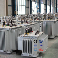 Transformateur de distribution triphasé à double enroulement série S13-M 20 kV, changeur de dérivation hors circuit, immergé dans l'huile, scellé