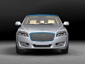 Promoción de Venta caliente <span class=keywords><strong>hoy</strong></span> vehículos eléctricos sedán de alta velocidad Big Space 2024 año jinpeng - Product Image 2