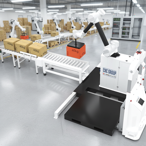 Rayman Industrial Robot Automatic Portable Palletizer for Carton/Case/<b>Box</b>/Bag Palletizing 4KW Power 220V 50HZ Robotic Arm Pallet - Product Image 1