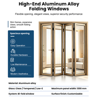 Portes patio pliantes modernes en alliage d'aluminium pour balcon, avec rupture de pont thermique, double vitrage trempé, conception extérieure étanche