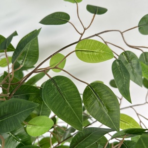 <span class=keywords><strong>Ficus</strong></span> en plastique double couche Artificial Trunk Layer <span class=keywords><strong>Ficus</strong></span> Tree <span class=keywords><strong>Pot</strong></span> pour décoration de magasin-149 - Product Image 6