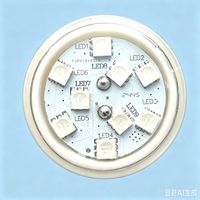 Lumières LED programmables RGB de 46 mm, étanches, en forme de champignon, pour grande roue de parc d'attractions, 16 unités par groupe