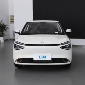 <span class=keywords><strong>2025</strong></span> Trung Quốc dongfeng Nano 01 <span class=keywords><strong>2025</strong></span> mô hình 330 phiên bản thể thao mini SUV tốc độ cao EV với pin lithium - Product Image 2