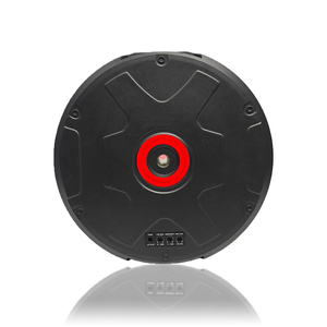 <span class=keywords><strong>Subwoofer</strong></span> de 12 pulgadas para coche, <span class=keywords><strong>subwoofer</strong></span> para <span class=keywords><strong>rueda</strong></span> de <span class=keywords><strong>repuesto</strong></span>, altavoz de bajos amplificado, instalación en el compartimento de la <span class=keywords><strong>rueda</strong></span>, audio activo para coche, suministro de fábrica OEM ODM - Product Image 2