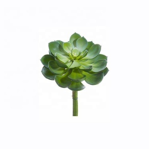 Echeveria พืช <span class=keywords><strong>Kalanchoe</strong></span> ปลอมเนื้อนิ่มขนาดเล็ก,สำหรับตกแต่ง - Product Image 5