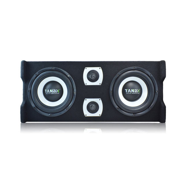 OEM  10 Inch  Active Dual Car Subwoofer Strong Bass Speak With Box for Car Audio System 4 Ohms High Power Woofer TB-JG10DD