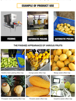 Automatische industriële machine voor het schillen van grote vruchten zoals citroenen, sinaasappels, appels, mango's en citrusvruchten.