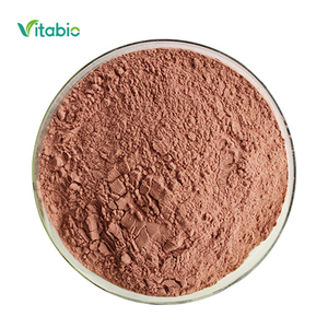 Poudre <span class=keywords><strong>de</strong></span> <span class=keywords><strong>jus</strong></span> <span class=keywords><strong>de</strong></span> canneberge en promotion / Poudre <span class=keywords><strong>de</strong></span> <span class=keywords><strong>jus</strong></span> <span class=keywords><strong>de</strong></span> canneberge / Poudre <span class=keywords><strong>de</strong></span> fruit <span class=keywords><strong>de</strong></span> canneberge - Product Image 1