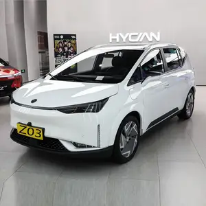 2023 새로운 모델 저렴한 가격 EV 충전기 0km 초침 SUV HYCAN Z03 전기 자동차 대형 공간 스포츠 Suv 판매