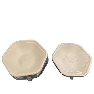 Wholesale Food Container Bagasse Box For Food Takeaway Disposable Sugarcane Biodegradable Food Containers